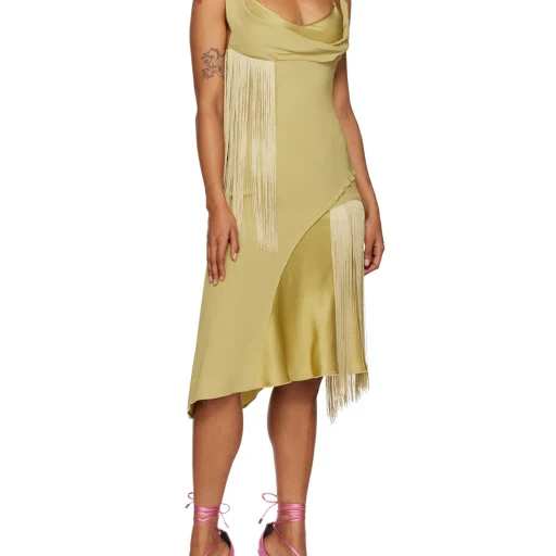 Medium Length Fringed Dress
