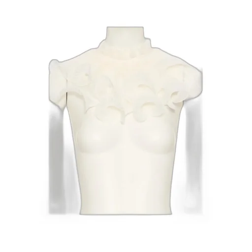 Silk Collar