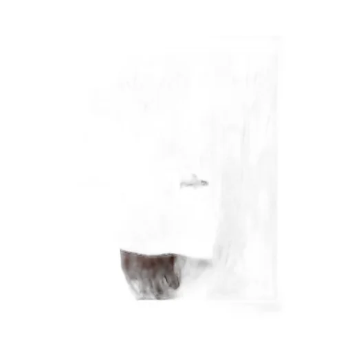 Hooded Drawstring Parka
