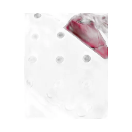 Valentino Shantung Polka Dot Printed Blazer