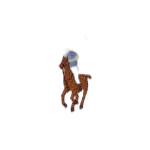 Polo Pony-Embroidered Shirt