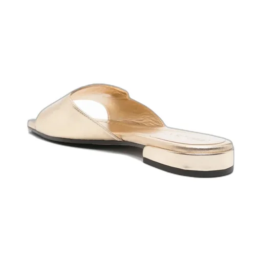 Dina Slides