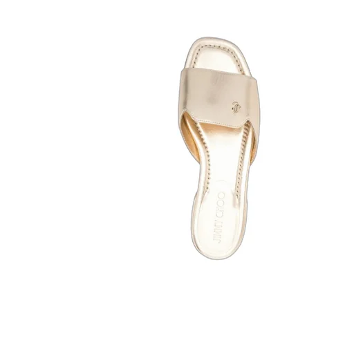 Dina Slides