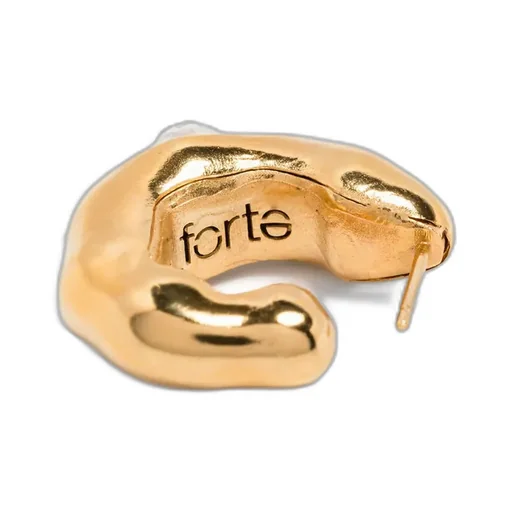 Ring Earrings