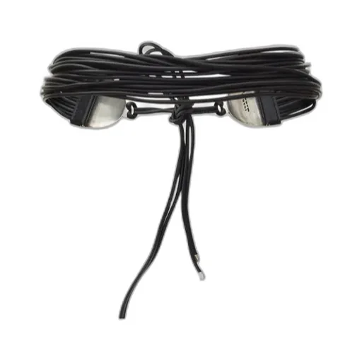 Isabel Marant Brandy Belt