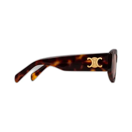 Triomphe 15 Sunglasses In Acetate