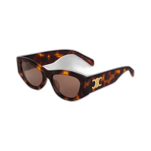 Triomphe 15 Sunglasses In Acetate