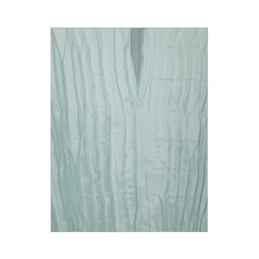 Pleated Top