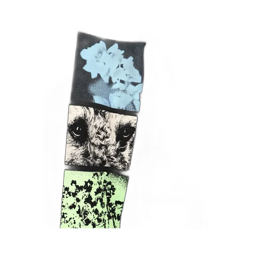 Dries Van Noten Hemmings Printed Double-Sleeved T-Shirt