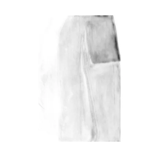 Dsquared2 Icon Cargo Pants