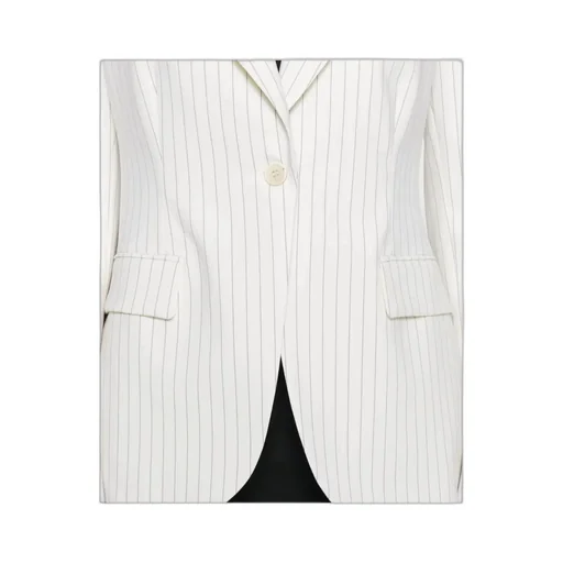 P.A.R.O.S.H. Striped Single-Breasted Blazer