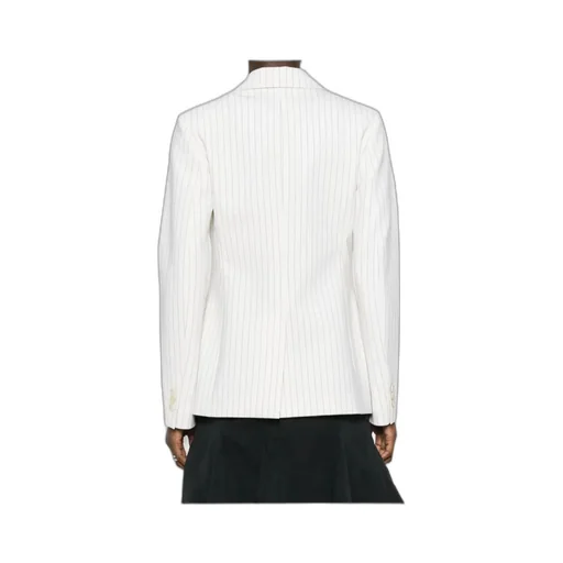 P.A.R.O.S.H. Striped Single-Breasted Blazer