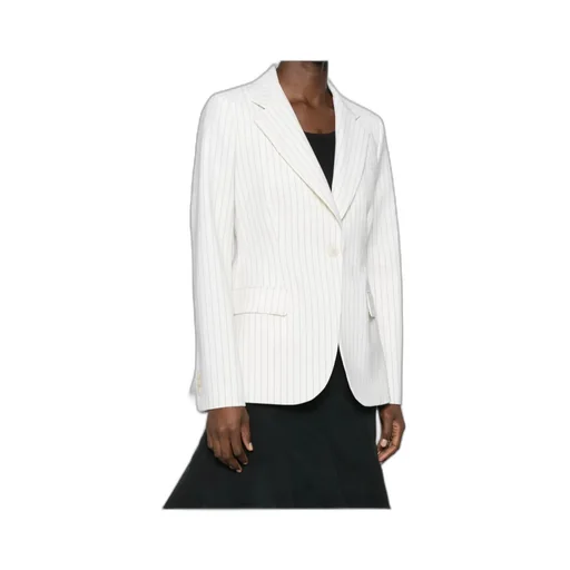P.A.R.O.S.H. Striped Single-Breasted Blazer