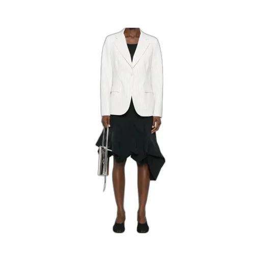 P.A.R.O.S.H. Striped Single-Breasted Blazer