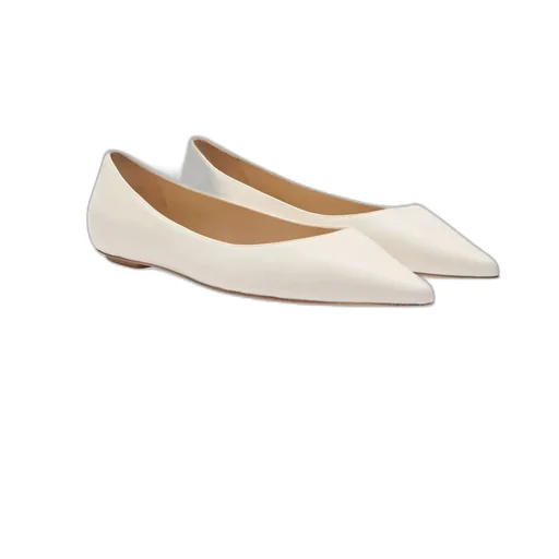 Pointed Flat Shoes