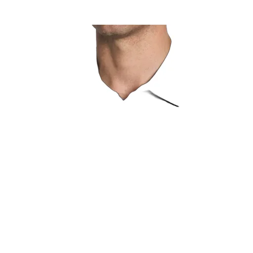 Brioni Polo With List Detail M C 3