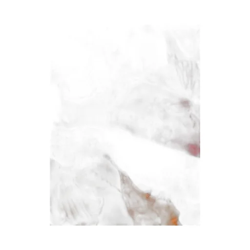 Cashmere Shawl