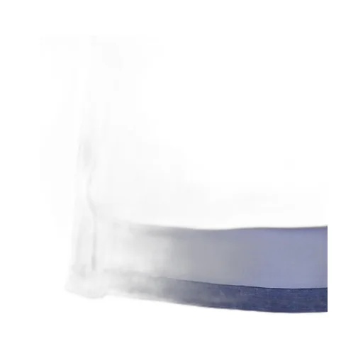 P.A.R.O.S.H. Semi-Sheer Sleeveless Top
