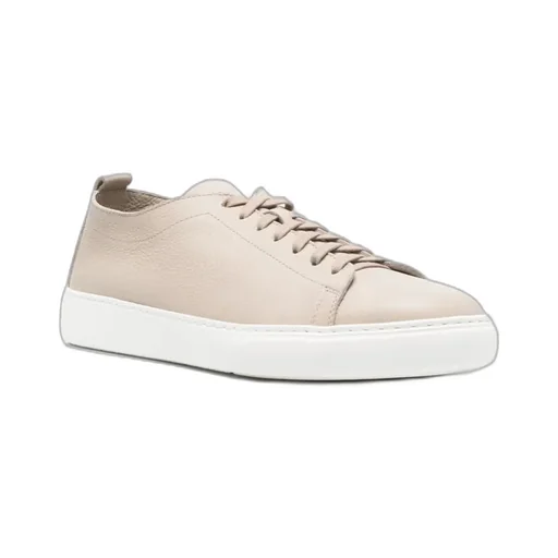 Laced Sneakers