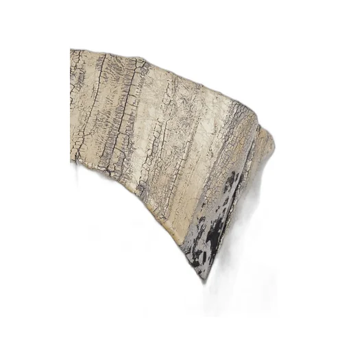 Rick Owens Metallic Distressed Dress