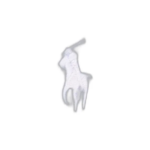 Polo Ralph Lauren Pony Embroidered Polo Shirt