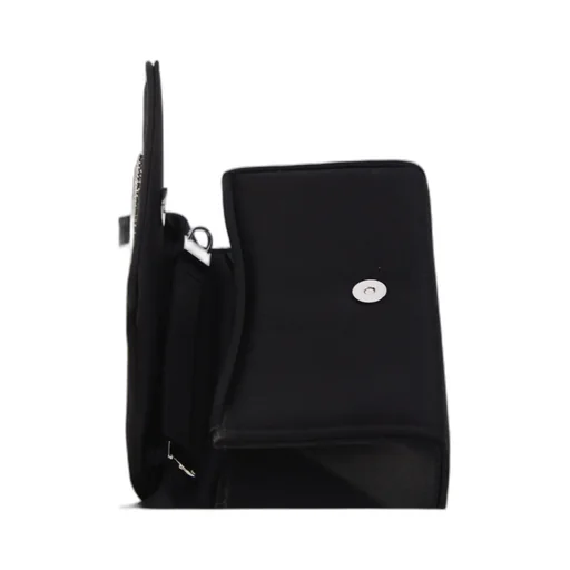Roger Vivier Pilgrim Satin Micro Bag