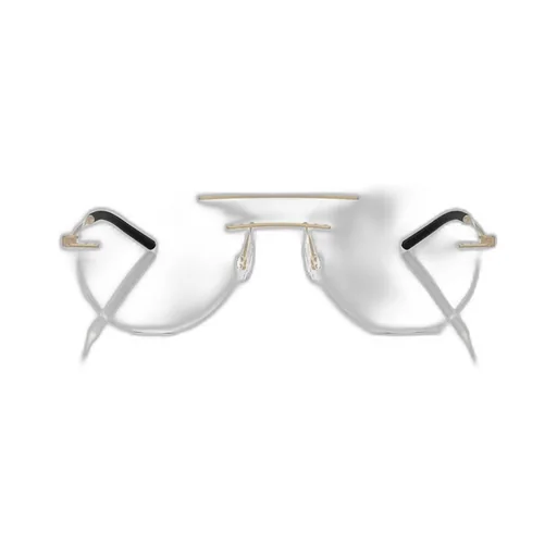 Moncler Eyewear Double Bridge Glasses