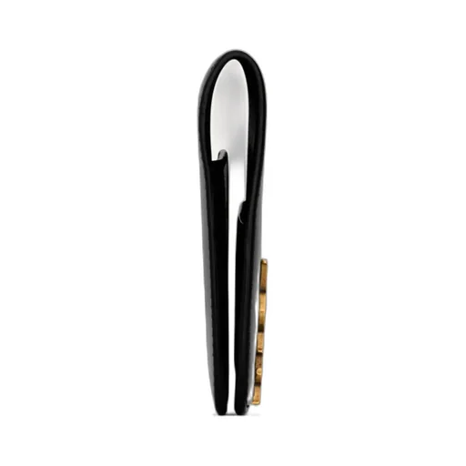 Saint Laurent Voltaire Passport Case
