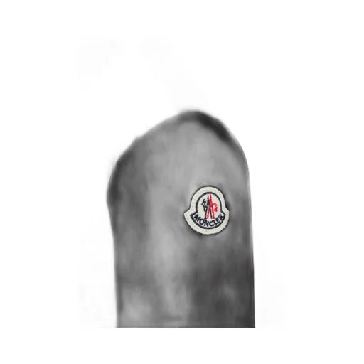 Moncler Zip-Up Hooded Padded Jacket