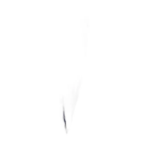 Drawstring Casual Pants