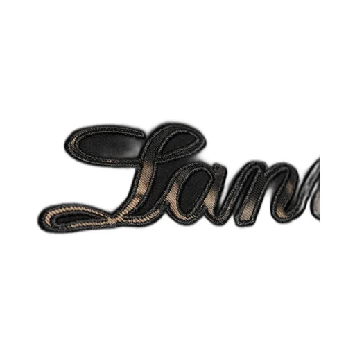 Lanvin Logo Denim T-Shirt