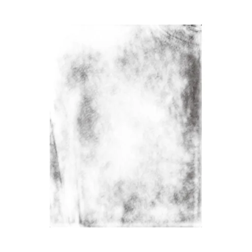 Crew-Neck Cotton T-Shirt