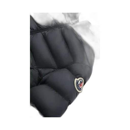 Ige Hooded Down Jacket