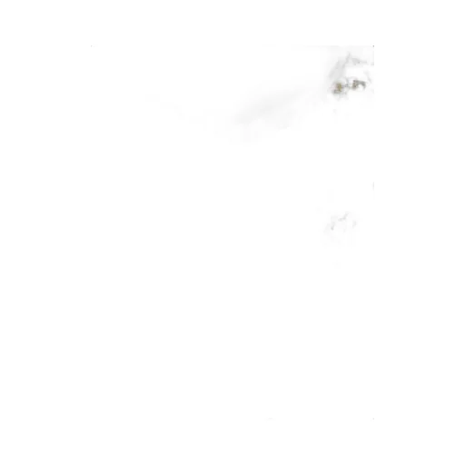 Bonpoint Emina Embroidered Dress