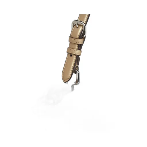Champagne-Coloured Leather Bag