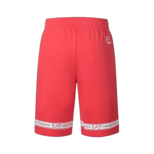 Elastic Waist Shorts