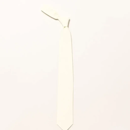 Washed Finx Twill Tie