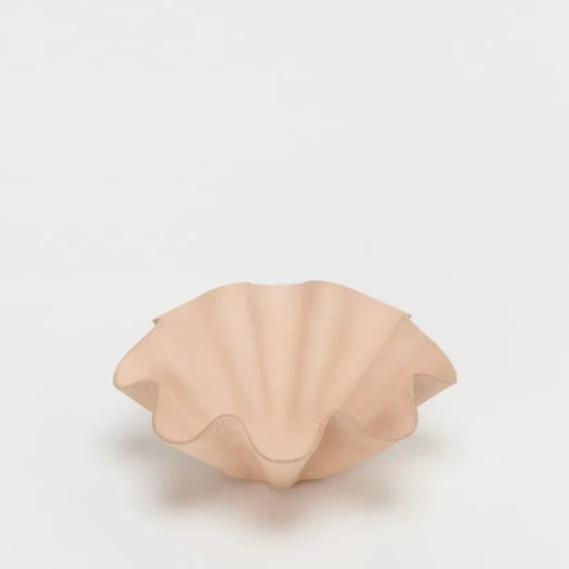 Shell Bowl