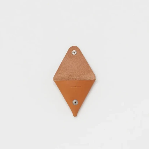 Triangle Coin Case