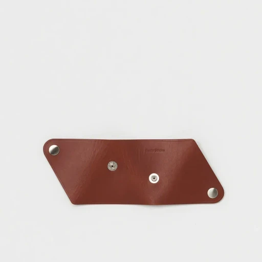 Triangle Coin Case