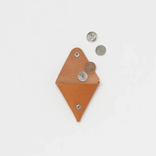 Triangle Coin Case