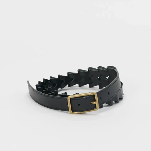 Construct Belt