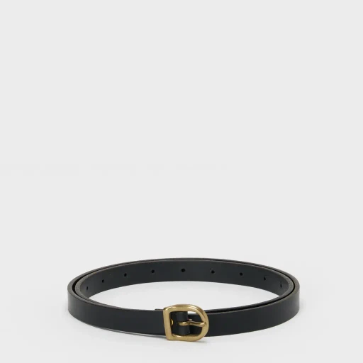 Arc Belt