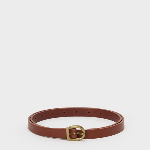 Arc Belt