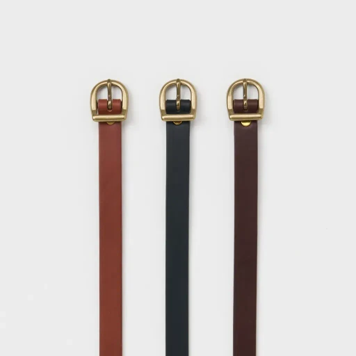 Arc Belt