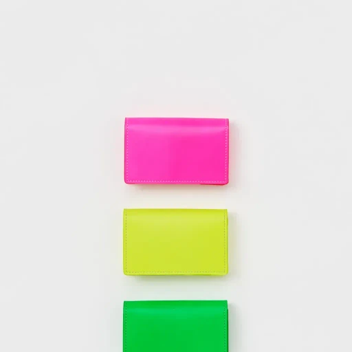 Highlight Folded Card Case