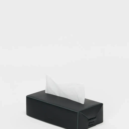Tissue Box Case