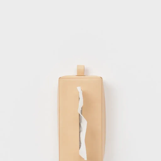 Tissue Box Case