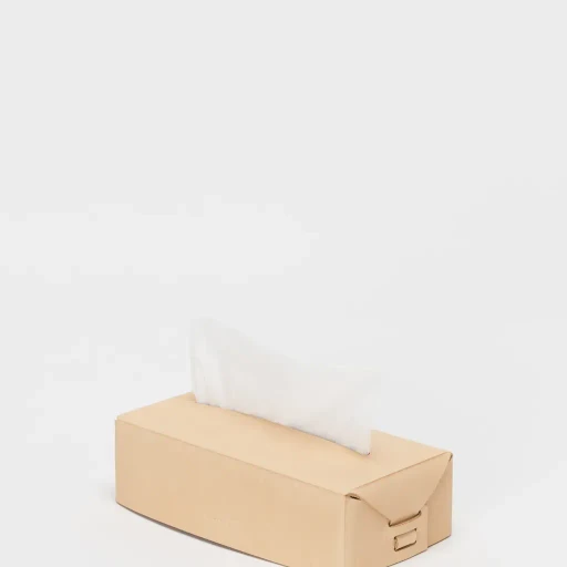 Tissue Box Case