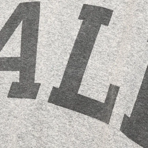 Ale-Y 88/12 Print Tee Standard